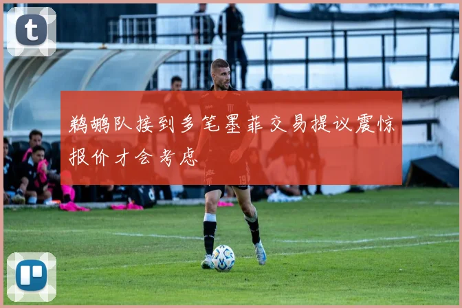 鹈鹕队接到多笔墨菲交易提议震惊报价才会考虑